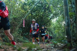 BIB: 
                            <button type="button" onclick="openModal(28025540)" class="btn btn-primary btn-sm float-right btn-popup" data-toggle="modal" data-target=".modal-high-quality">
                        <i class="fas fa-shopping-cart"></i> Add to Cart
                    </button>
                                            <button type="button" onclick="isThisMe(28025540, true)" class="btn btn-success btn-sm float-right btn-popup btn-isme hidden" data-toggle="tooltip" data-placement="bottom" title="นี่คือรูปของคุณใช่ไหม คลิกที่นี่เพื่อเอาเข้าอัลบั้ม">
                        <i class="fas fa-plus"></i> Add to album
                    </button>
                    <button type="button" onclick="isThisMe(28025540, false)" class="btn btn-warning btn-sm float-right btn-popup btn-isnotme hidden">
                        <i class="fas fa-ban"></i> Remove from album
                    </button>